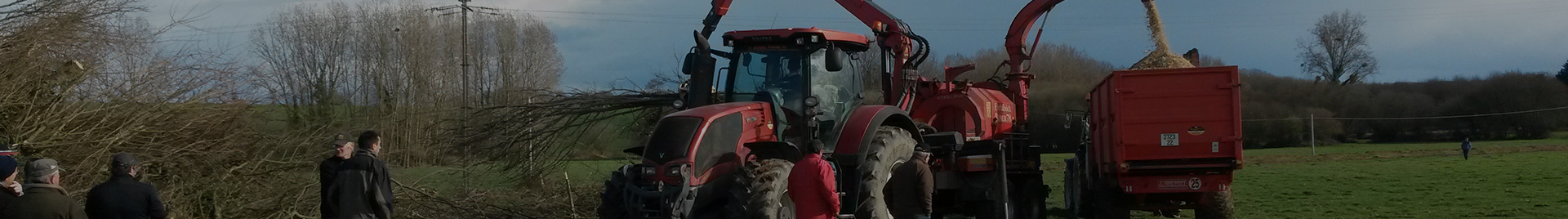 Bois déchiqueté en Pays de Dinan