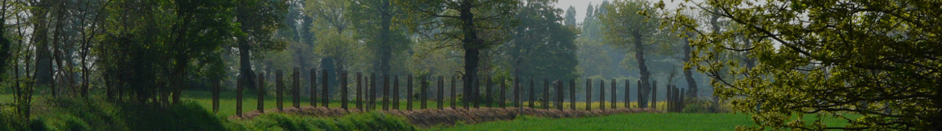 Bois de chauffage, bois bûche, SCIC ENR Bois & Energie en Pays de Rance à  Tréméreuc