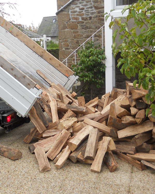 Abri à bûches 6,7 m3 - abri de stockage pour bois de chauffage