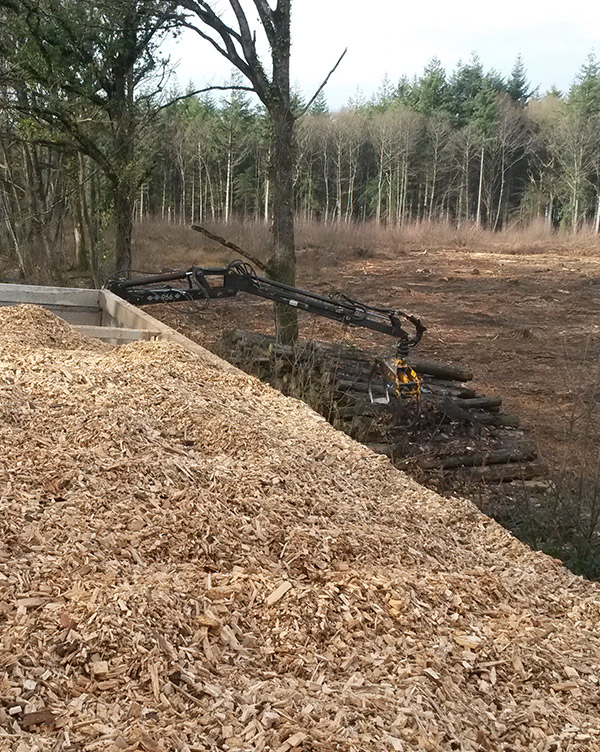 Paillage copeaux de bois